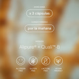 Wake Up Mood - información del producto