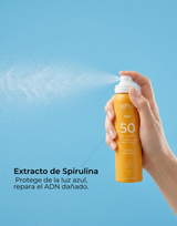 SEGLE Cofre Solar Edición Jordi Labanda textura